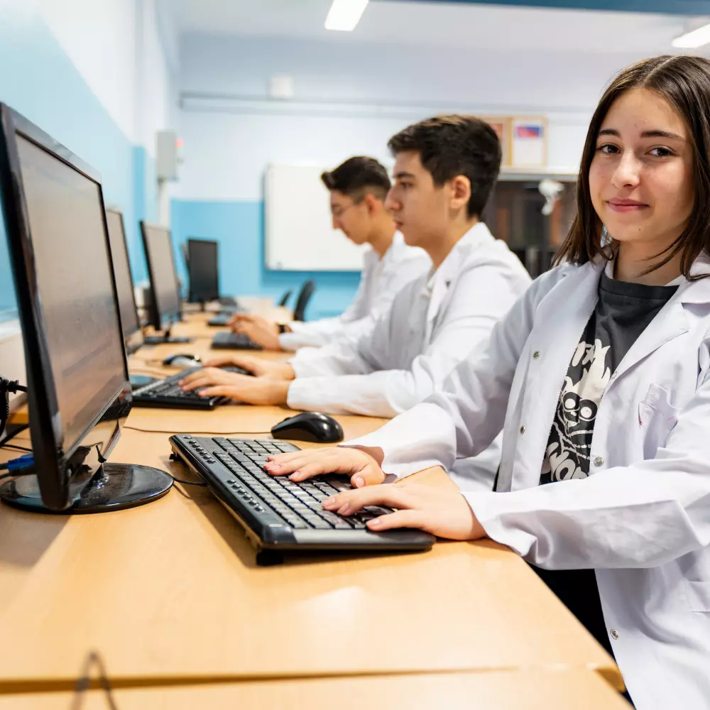 Cursos - Interativos